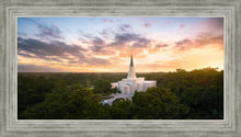 Load image into Gallery viewer, Houston from on High