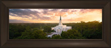 Load image into Gallery viewer, Houston from on High