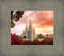 Load image into Gallery viewer, San Diego Flowers