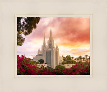 Load image into Gallery viewer, San Diego Flowers