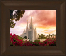 Load image into Gallery viewer, San Diego Flowers