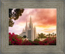 Load image into Gallery viewer, San Diego Flowers