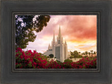 Load image into Gallery viewer, San Diego Flowers