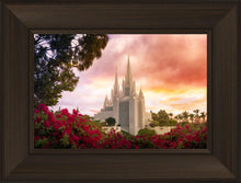 Load image into Gallery viewer, San Diego Flowers