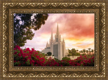 Load image into Gallery viewer, San Diego Flowers