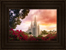 Load image into Gallery viewer, San Diego Flowers