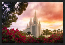 Load image into Gallery viewer, San Diego Flowers