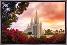 Load image into Gallery viewer, San Diego Flowers