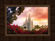 Load image into Gallery viewer, San Diego Flowers