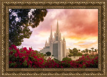 Load image into Gallery viewer, San Diego Flowers