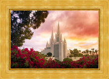 Load image into Gallery viewer, San Diego Flowers