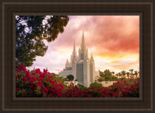 Load image into Gallery viewer, San Diego Flowers