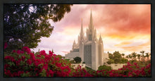 Load image into Gallery viewer, San Diego Flowers