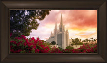 Load image into Gallery viewer, San Diego Flowers