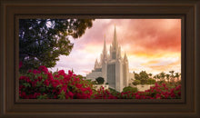 Load image into Gallery viewer, San Diego Flowers