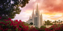 Load image into Gallery viewer, San Diego Flowers