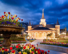 Load image into Gallery viewer, Provo City Center - April Showers Bring May Flowers