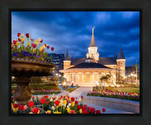 Load image into Gallery viewer, Provo City Center - April Showers Bring May Flowers
