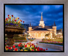 Load image into Gallery viewer, Provo City Center - April Showers Bring May Flowers
