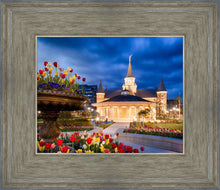 Load image into Gallery viewer, Provo City Center - April Showers Bring May Flowers
