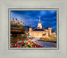 Load image into Gallery viewer, Provo City Center - April Showers Bring May Flowers