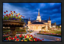 Load image into Gallery viewer, Provo City Center - April Showers Bring May Flowers