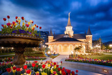 Load image into Gallery viewer, Provo City Center - April Showers Bring May Flowers