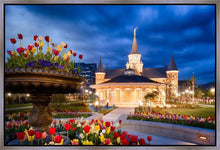 Load image into Gallery viewer, Provo City Center - April Showers Bring May Flowers