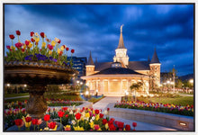 Load image into Gallery viewer, Provo City Center - April Showers Bring May Flowers