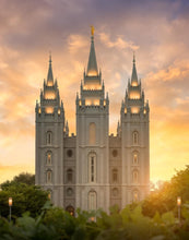 Load image into Gallery viewer, Salt Lake Golden