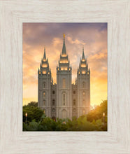 Load image into Gallery viewer, Salt Lake Golden