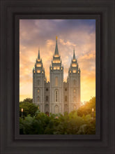 Load image into Gallery viewer, Salt Lake Golden