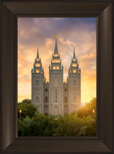 Load image into Gallery viewer, Salt Lake Golden