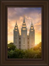 Load image into Gallery viewer, Salt Lake Golden