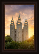 Load image into Gallery viewer, Salt Lake Golden