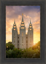 Load image into Gallery viewer, Salt Lake Golden