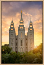 Load image into Gallery viewer, Salt Lake Golden