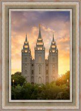 Load image into Gallery viewer, Salt Lake Golden