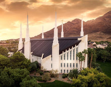 Load image into Gallery viewer, Las Vegas Desert Oasis Aerial