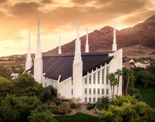 Load image into Gallery viewer, Las Vegas Desert Oasis Aerial