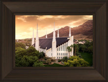 Load image into Gallery viewer, Las Vegas Desert Oasis Aerial