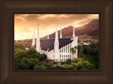 Load image into Gallery viewer, Las Vegas Desert Oasis Aerial