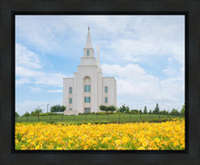Load image into Gallery viewer, Blue and Gold Kansas City