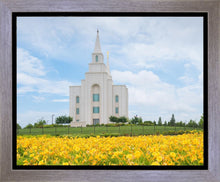 Load image into Gallery viewer, Blue and Gold Kansas City