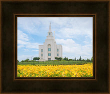 Load image into Gallery viewer, Blue and Gold Kansas City
