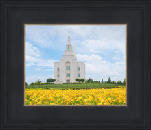 Load image into Gallery viewer, Blue and Gold Kansas City