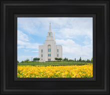 Load image into Gallery viewer, Blue and Gold Kansas City