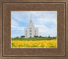 Load image into Gallery viewer, Blue and Gold Kansas City