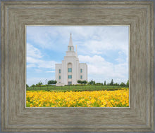 Load image into Gallery viewer, Blue and Gold Kansas City