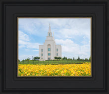 Load image into Gallery viewer, Blue and Gold Kansas City